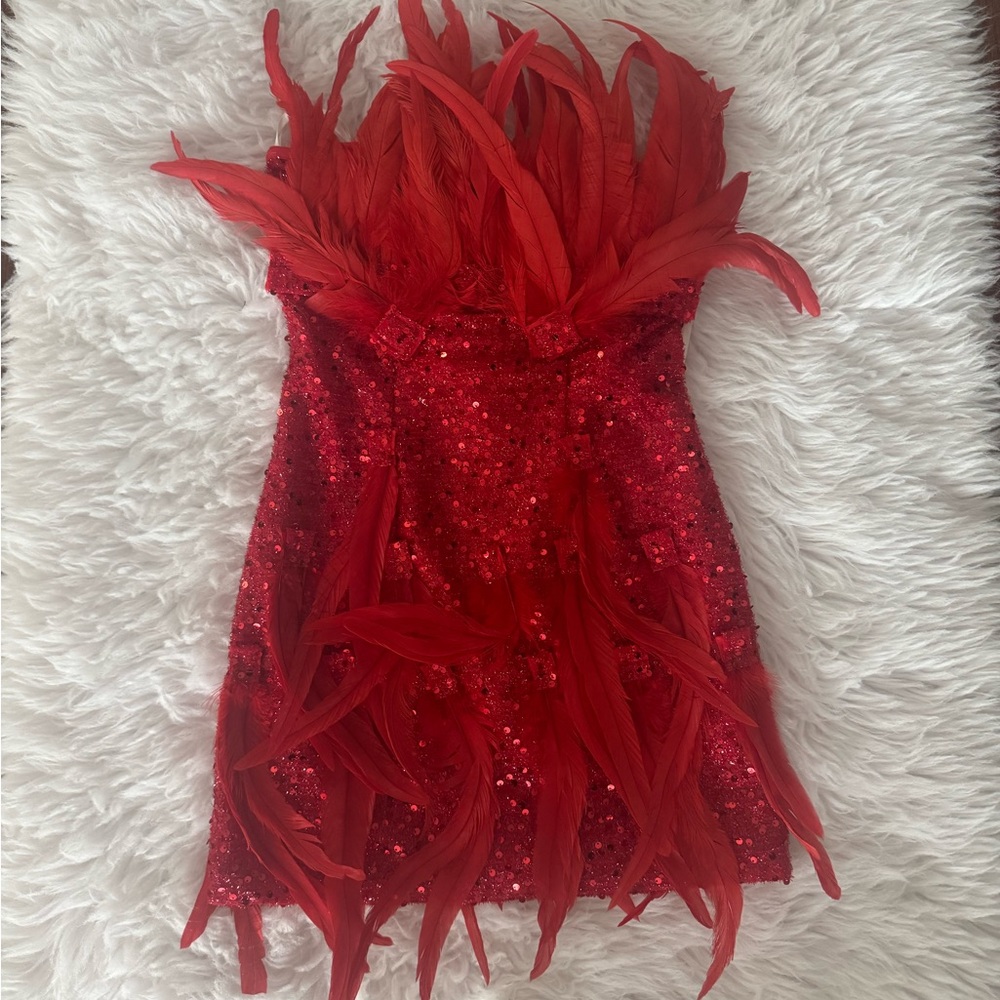 Red Feathered Sequin Dress